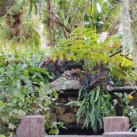 Sareeviengping Hotel Chiangmai Csiangmaj Kültér fotó
