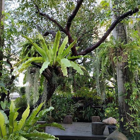 Sareeviengping Hotel Chiangmai Csiangmaj Kültér fotó