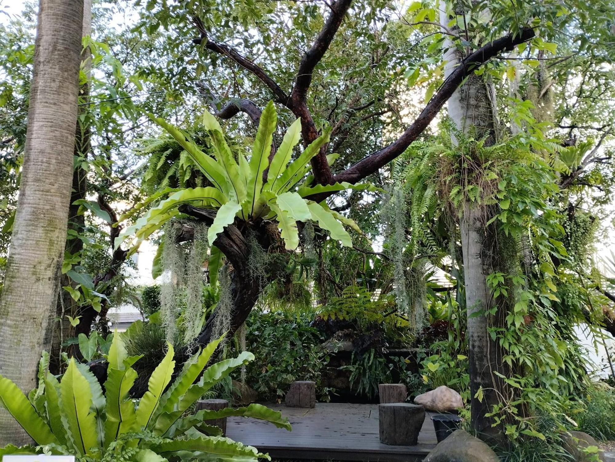 Sareeviengping Hotel Chiangmai Csiangmaj Kültér fotó